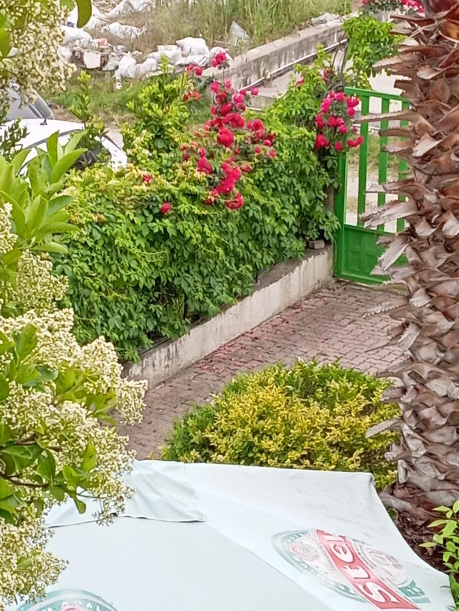 A-Vila Golem  Extérieur photo